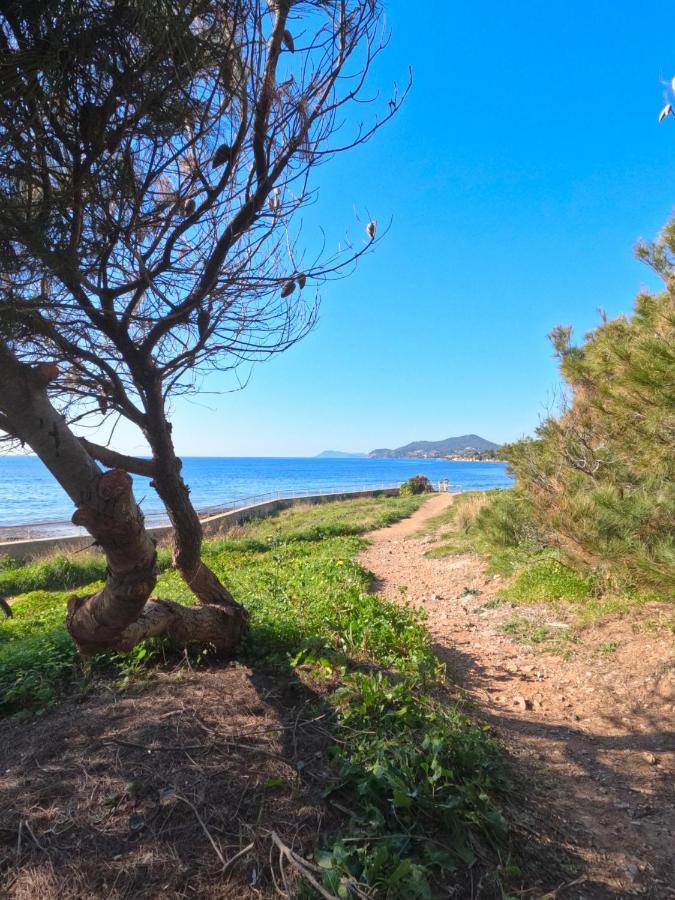 Appartement Hyeres - Costebelle Duplex Vue Mer Balcon Residence Privee Parking - Marie Caroline Екстериор снимка